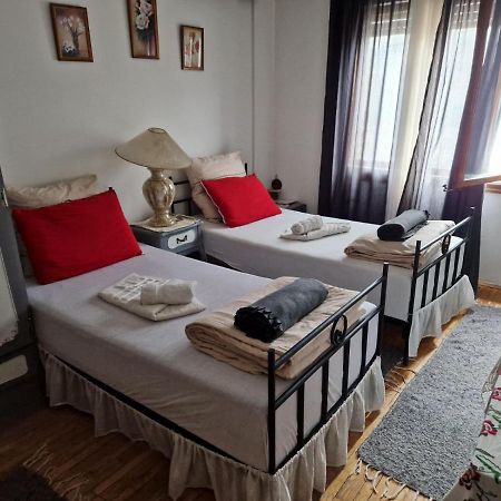 Vrnjačka BanjaNoa.S Pansion 88住宿加早餐旅馆 外观 照片