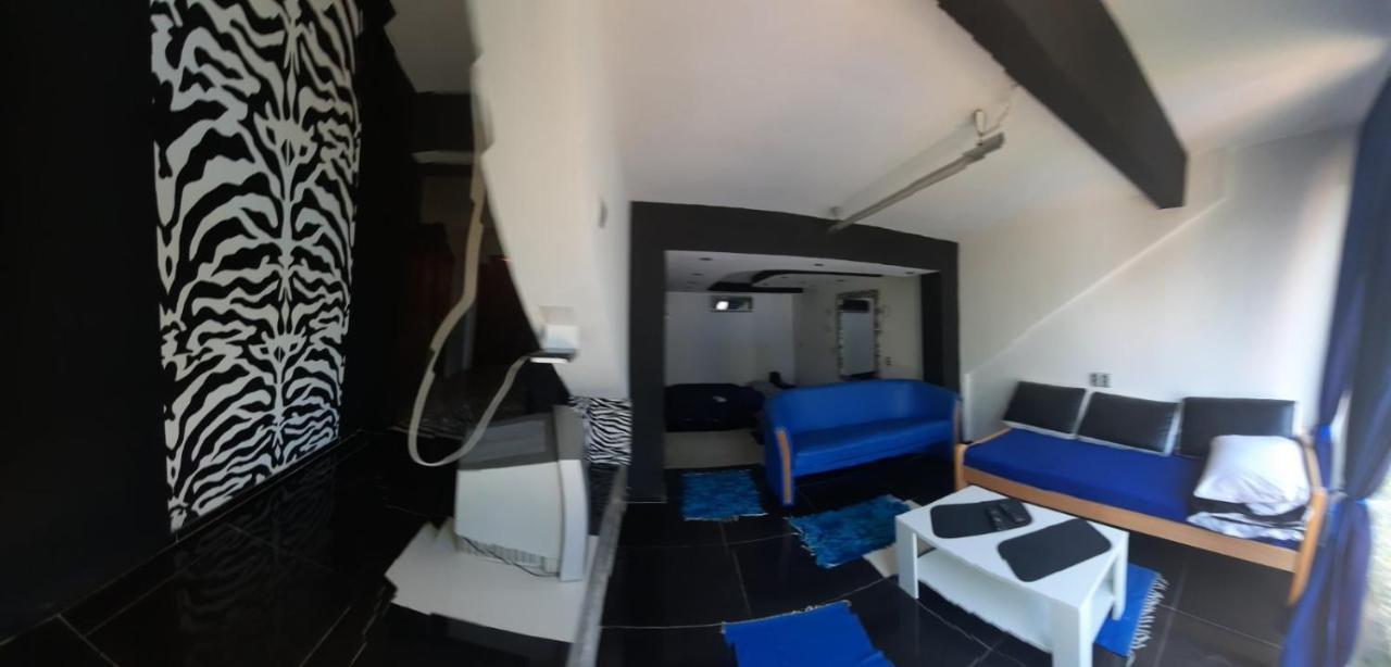 Vrnjačka BanjaNoa.S Pansion 88住宿加早餐旅馆 外观 照片