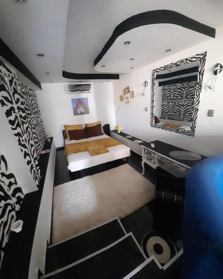 Vrnjačka BanjaNoa.S Pansion 88住宿加早餐旅馆 外观 照片