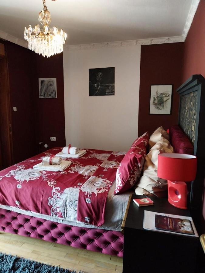 Vrnjačka BanjaNoa.S Pansion 88住宿加早餐旅馆 外观 照片
